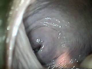 #1 video sample