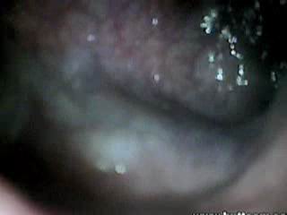 #2 video sample