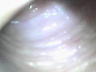 #2 video sample