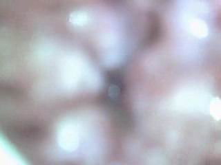 #3 video sample