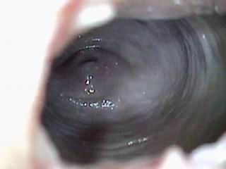 #3 video sample