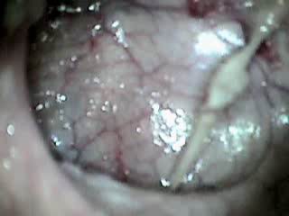 #3 video sample