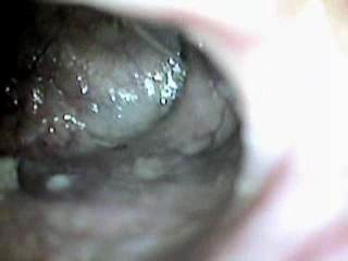 #3 video sample
