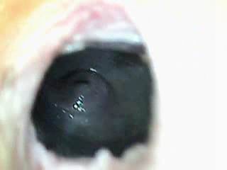 #1 video sample