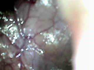 #2 video sample