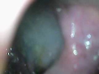 #3 video sample