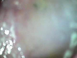 #2 video sample