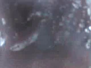 #3 video sample