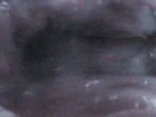 #3 video sample