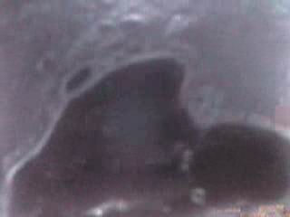 #2 video sample