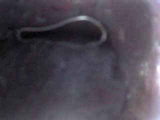#1 video sample