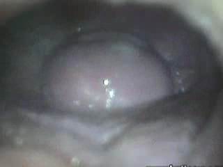 #3 video sample