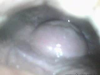 #2 video sample