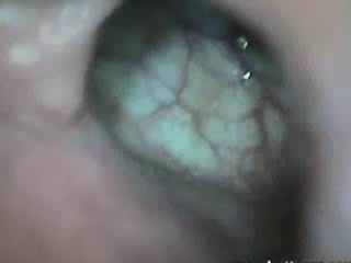 #2 video sample