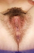 hairytwats70.jpg