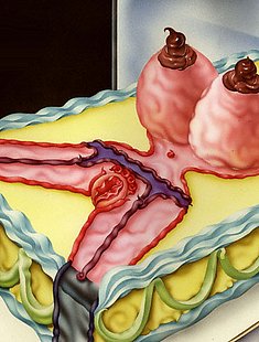 PORN CARTOON NETWORK CARTOONS