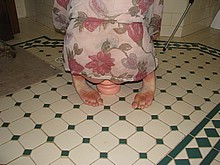 459.jpg