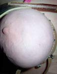 pussy punishment