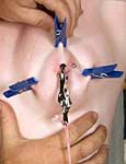 pussy piercing