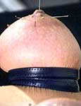 bdsm