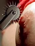 bdsm