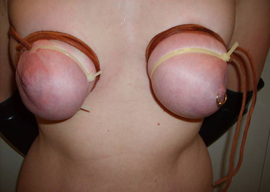 Busty jug tits Black asshole jpg bush cnn