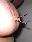 maledom