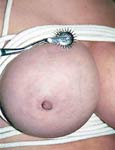 pussy punishment