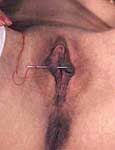 male domination