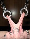 sadism