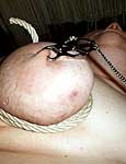 edgeplay