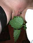 male domination