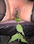 pussy pain