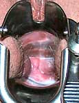 bdsm