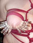 tits in pain