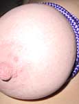 pussy piercing