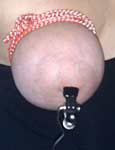 sadism