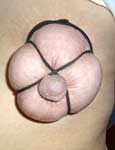 bdsm