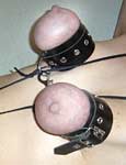 male domination