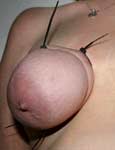 male domination