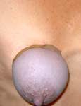 male domination
