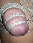 pussy punishment