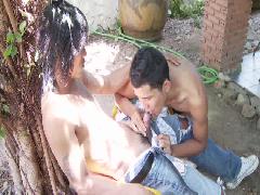 asian gay sex