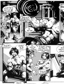 adult toons