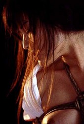 Shibari: Japan bondage Pictures