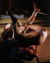 Shibari: Japan bondage Pictures