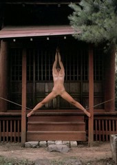 Shibari: Japan bondage Pictures