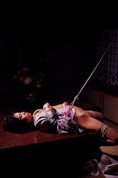Shibari: Japan bondage Pictures