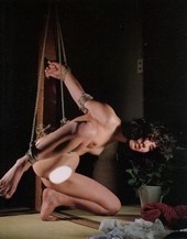 Shibari: Japan bondage Pictures