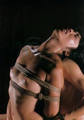 Shibari: Japan bondage Pictures